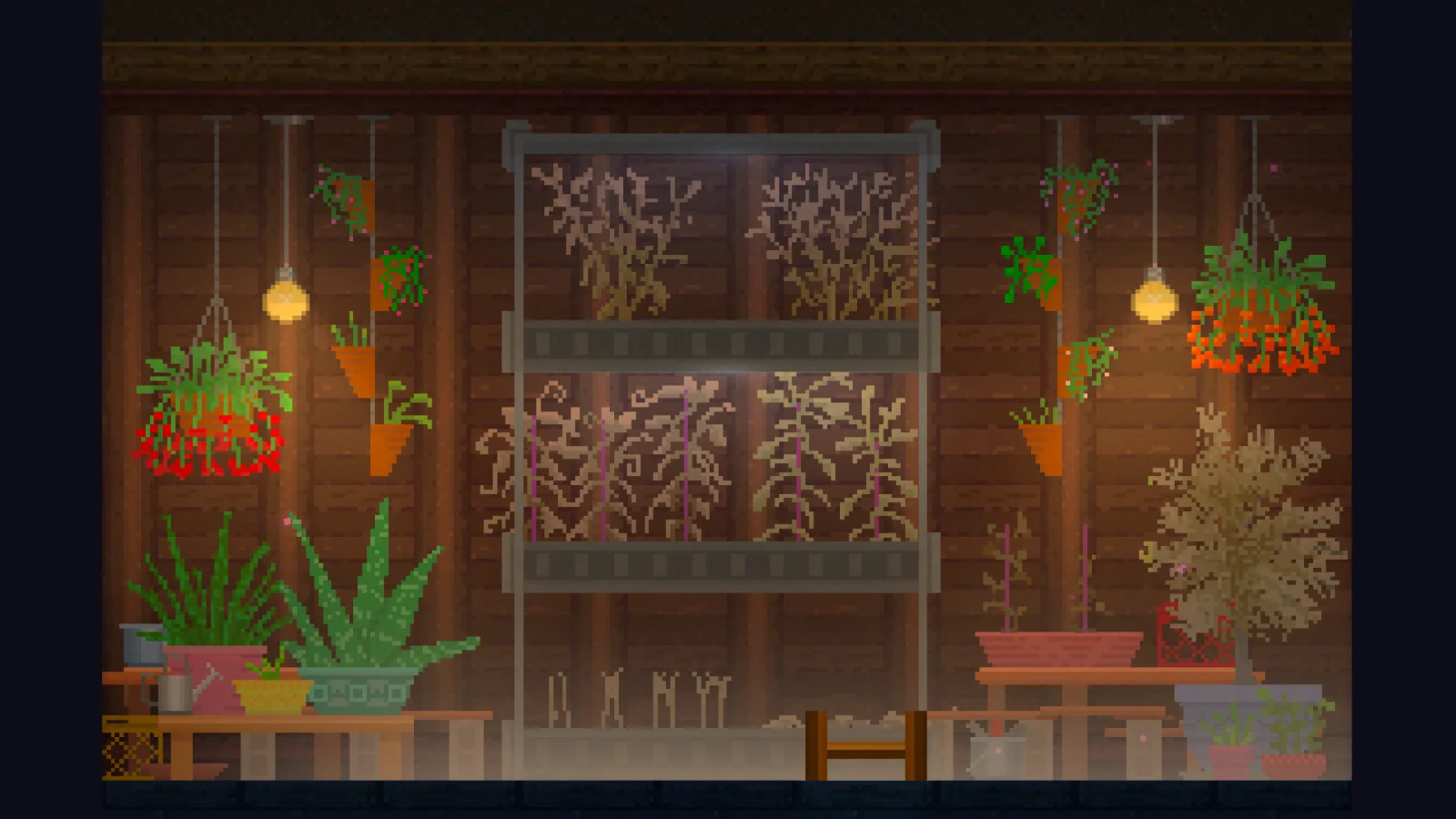 Nightbound environment: the solarium.